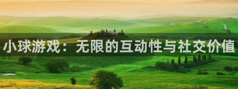 尊龙目前在哪：小球游戏：无限的互动性与社交价值