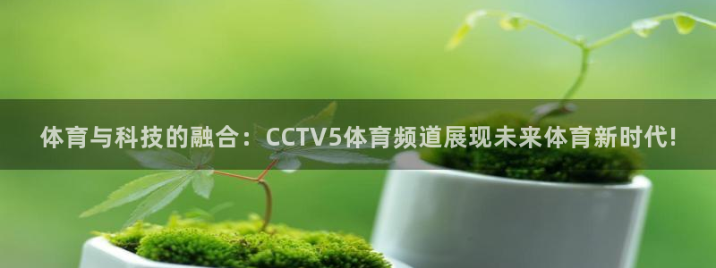 大蓝鲸直播：体育与科技的融合：CCTV5体育频道展现未来体育新时代!