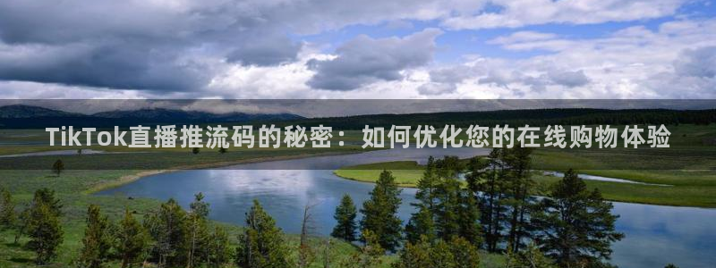 蓝鲸直播体育app：TikTok直播推流码的秘密：如何优化您的在线购物体验