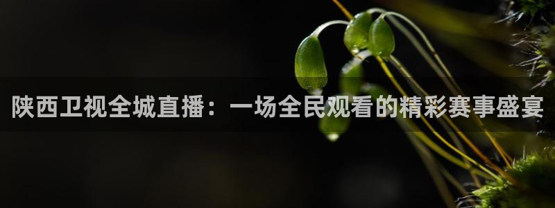 蓝鲸直播下载app下载：陕西卫视全城直播：一场全民观看的精彩赛事盛宴