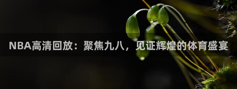 蓝鲸直播下载地址：NBA高清回放：聚焦九八，见证辉煌的体育盛宴