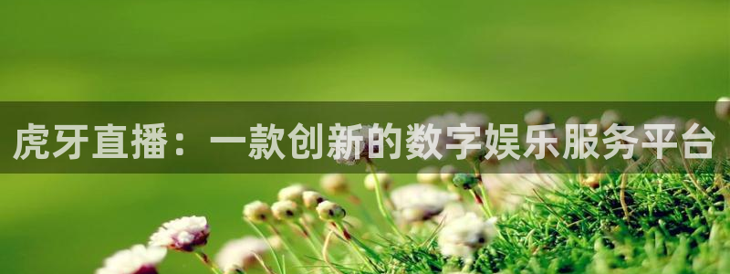 蓝鲸体育直播下载app：虎牙直播：一款创新的数字娱乐服务平台
