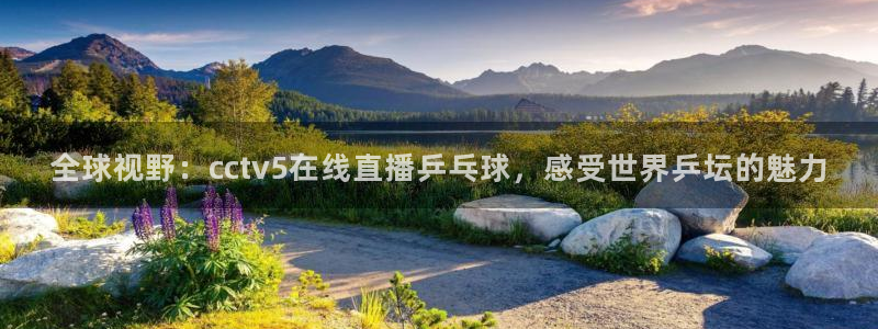 蓝鲸直播体育app下载手机版：全球视野：cctv5在线直播乒乓球，感受世界乒坛的魅力